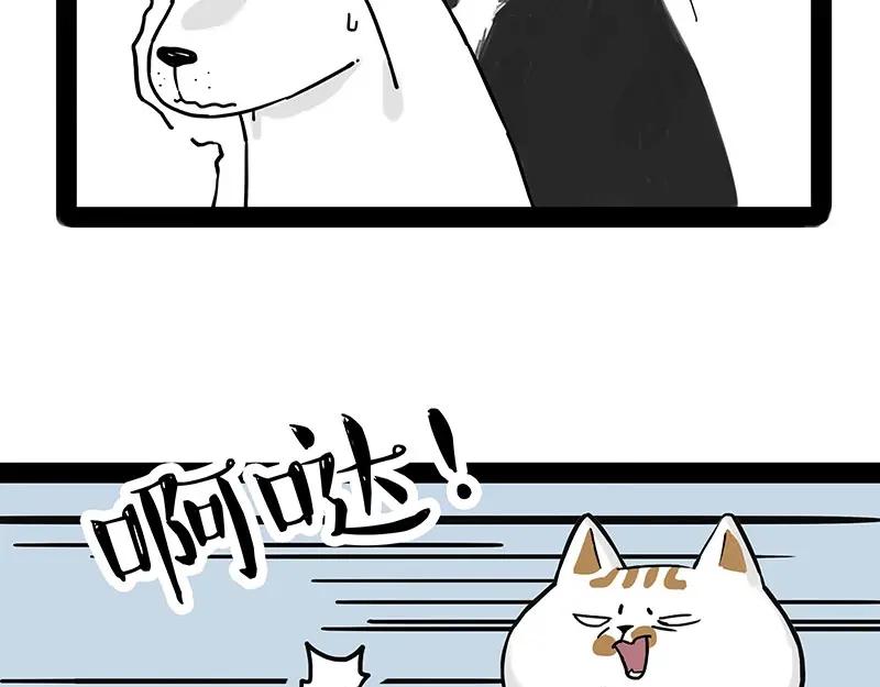 44.jpg