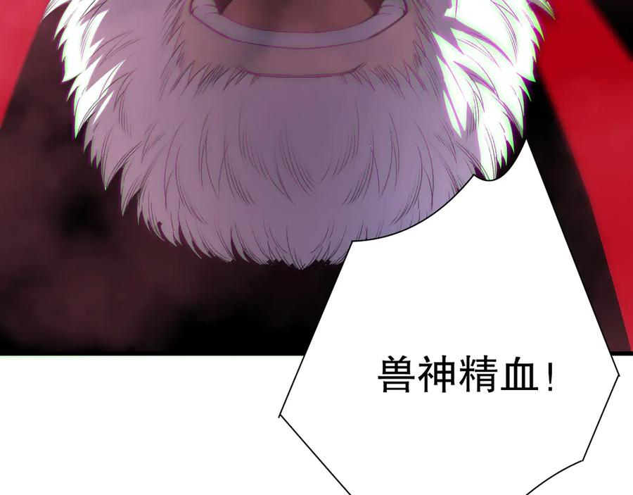 146.jpg