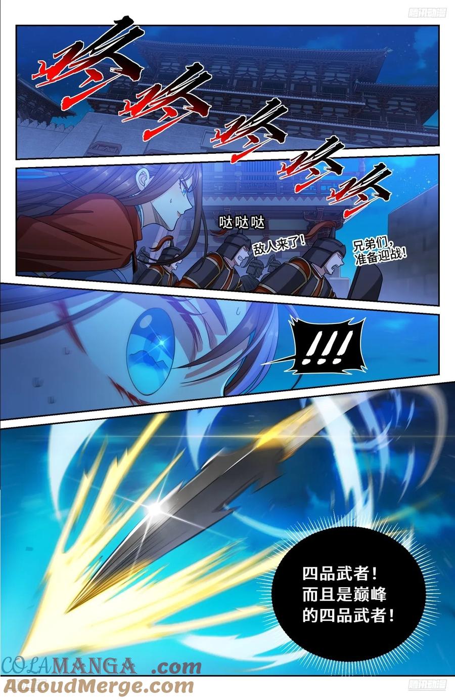 11.jpg