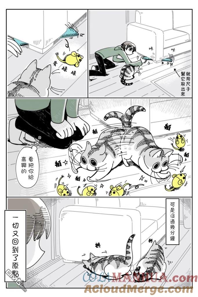 第34话-关于养猫我一直是新手-キュルZ（第1张）
