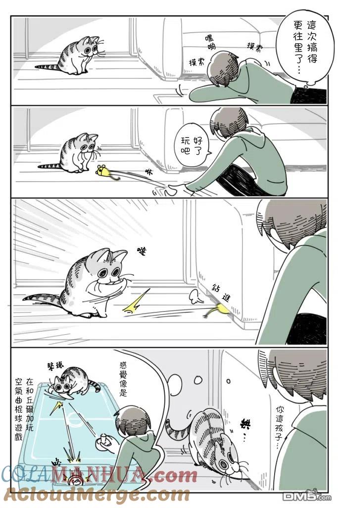 第34话-关于养猫我一直是新手-キュルZ（第2张）