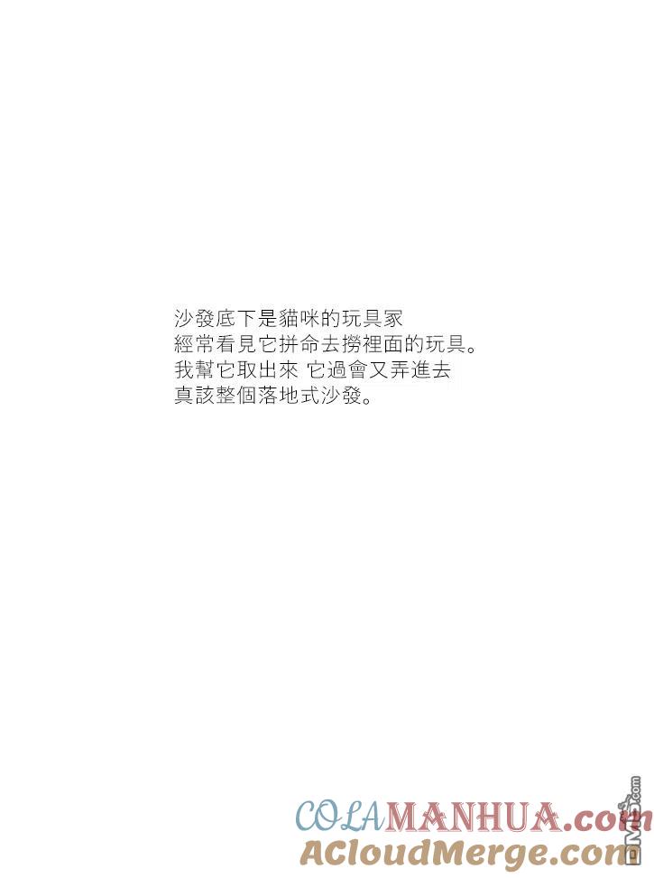 第34话-关于养猫我一直是新手-キュルZ（第3张）