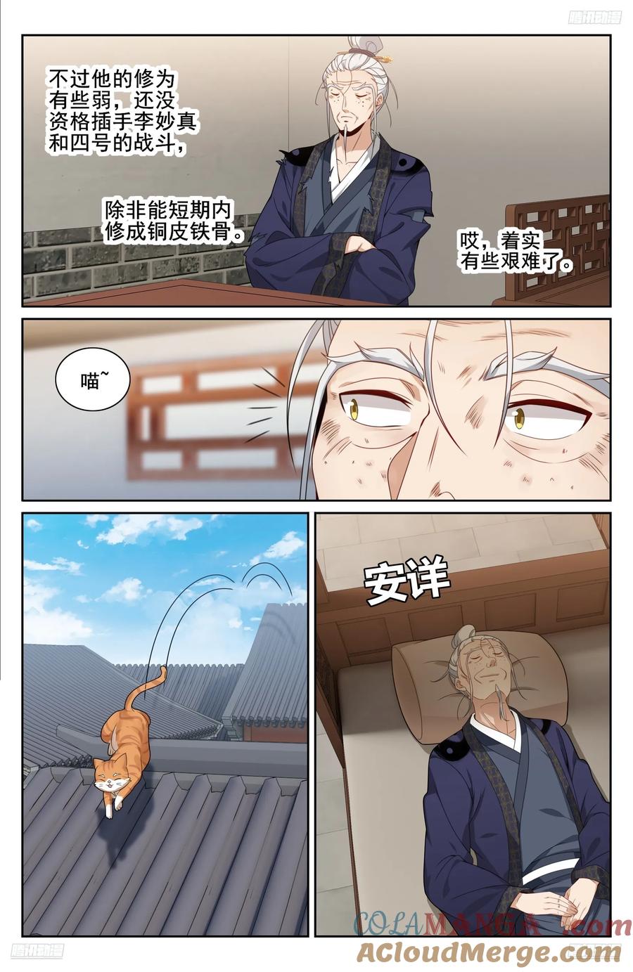 6.jpg