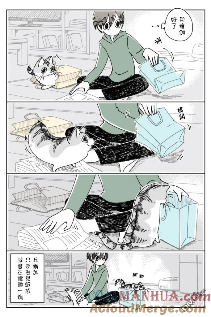 第67话-关于养猫我一直是新手-キュルZ（第1张）