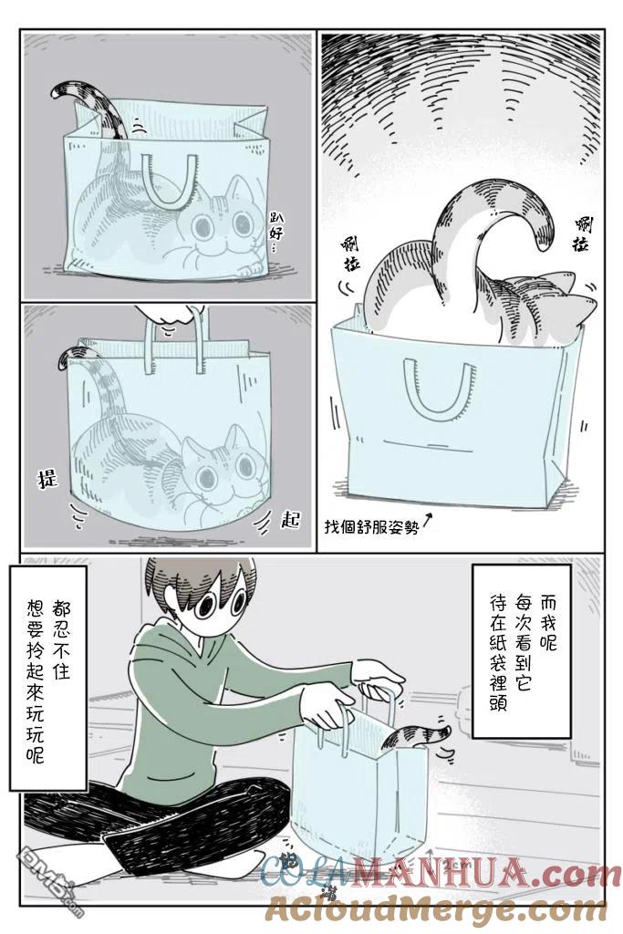 第67话-关于养猫我一直是新手-キュルZ（第2张）