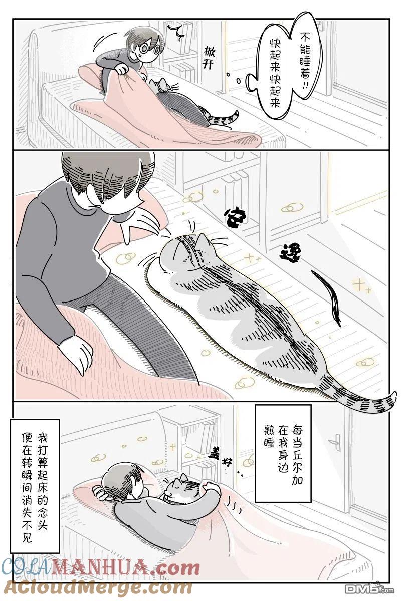 第94话-关于养猫我一直是新手-キュルZ（第2张）