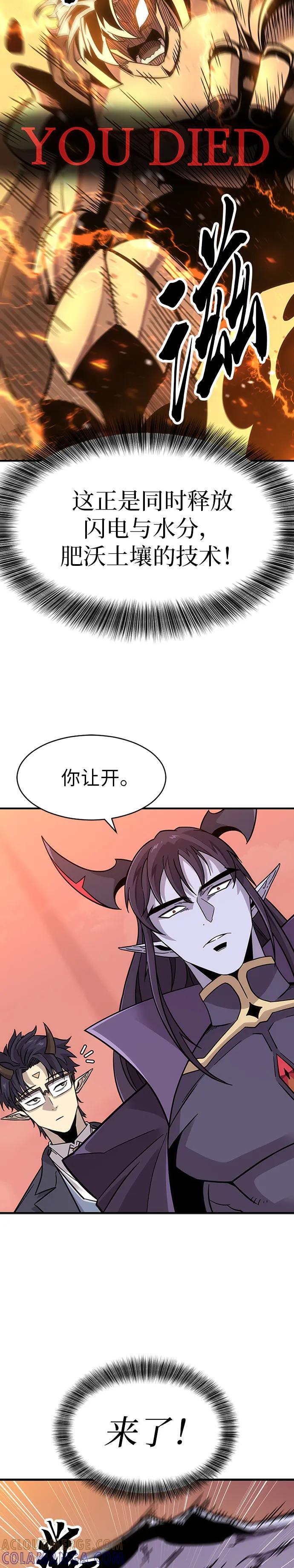 73.jpg