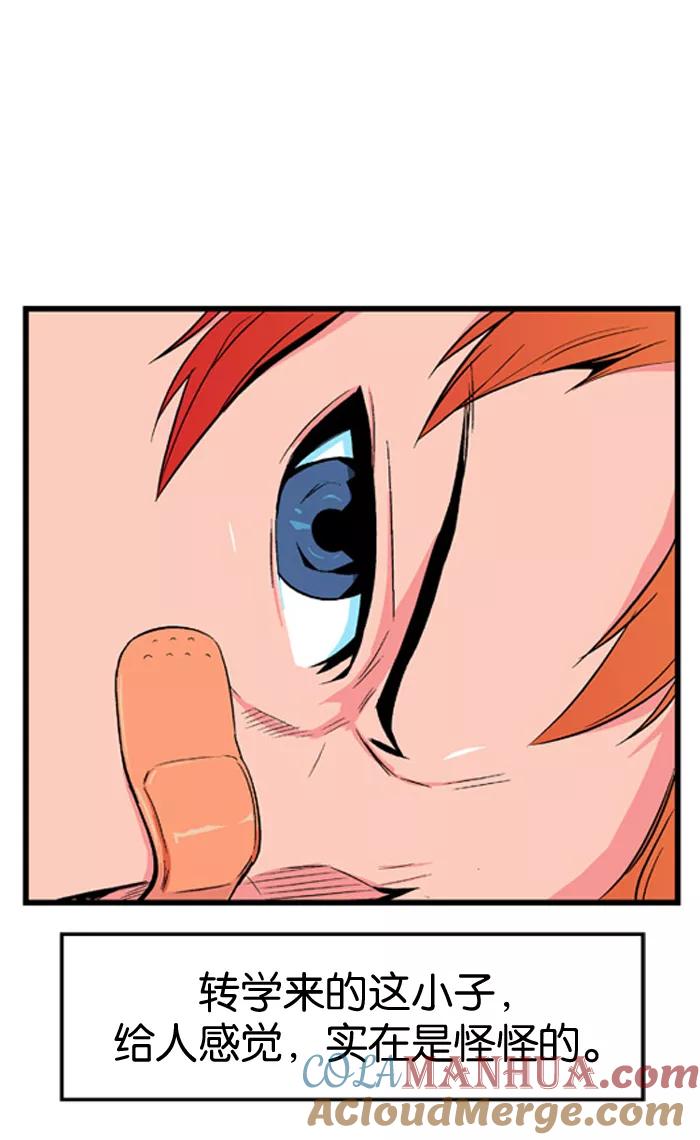 13.jpg