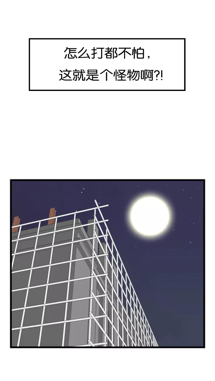 28.jpg