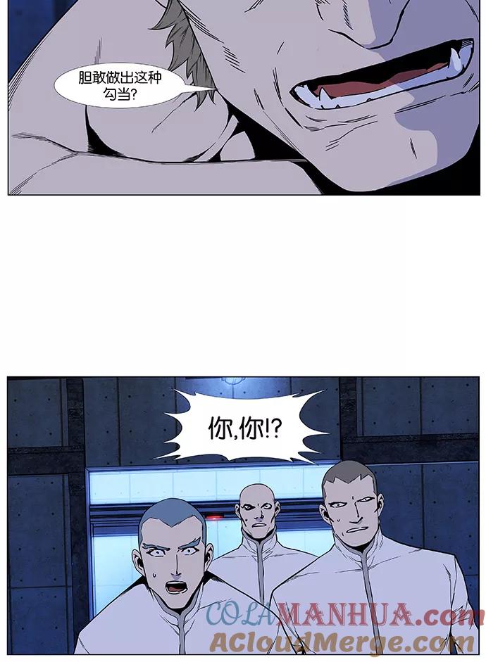 46.jpg