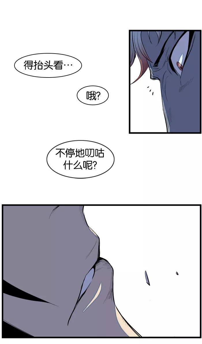 48.jpg