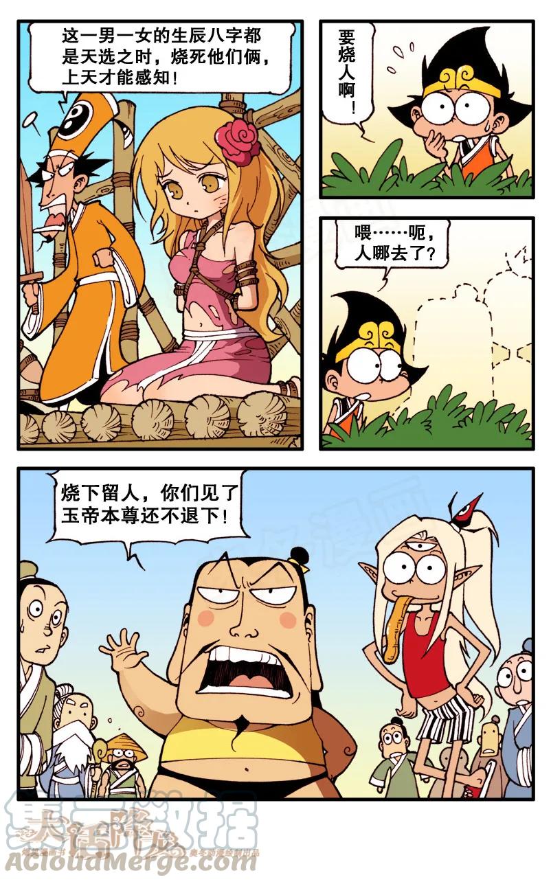 5.jpg