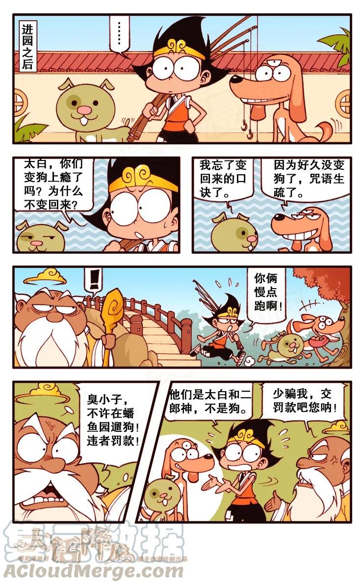 5.jpg