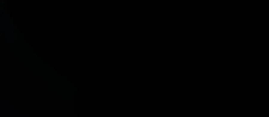 65.jpg