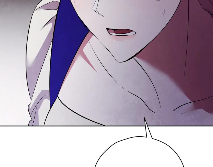 146.jpg