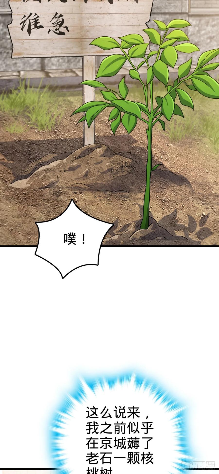 48.jpg