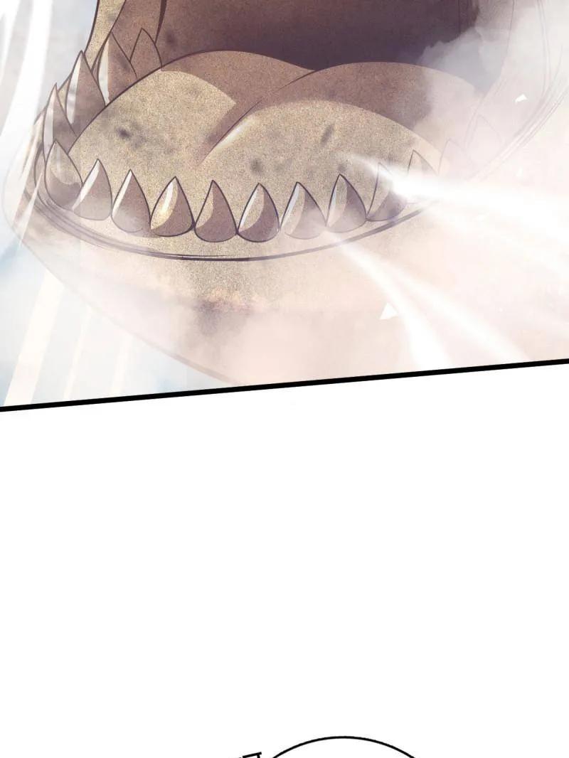 51.jpg