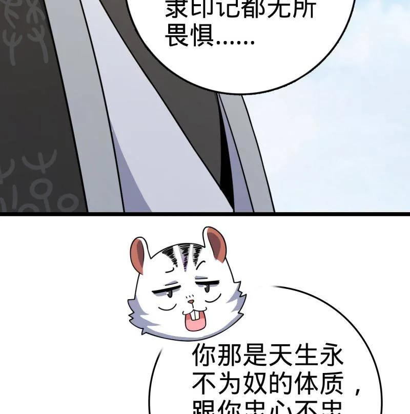 78.jpg