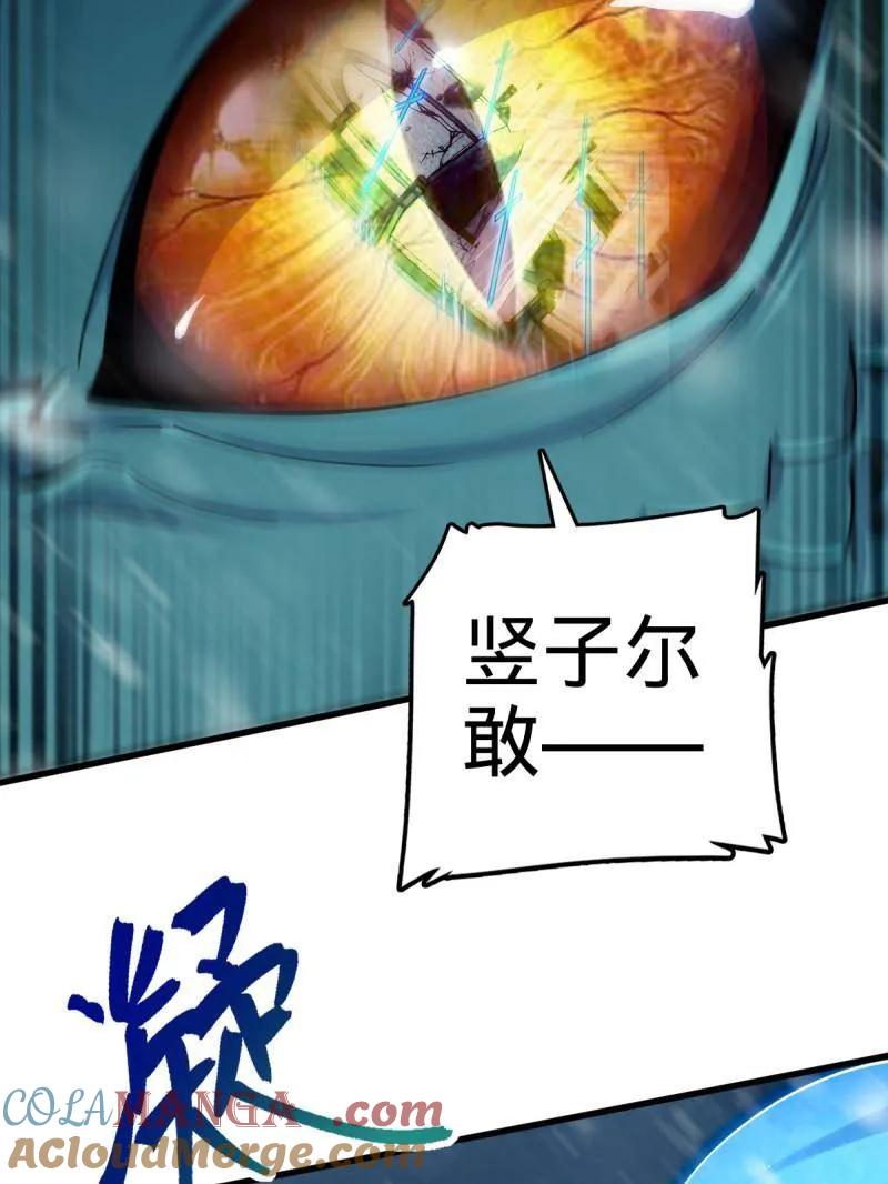 73.jpg