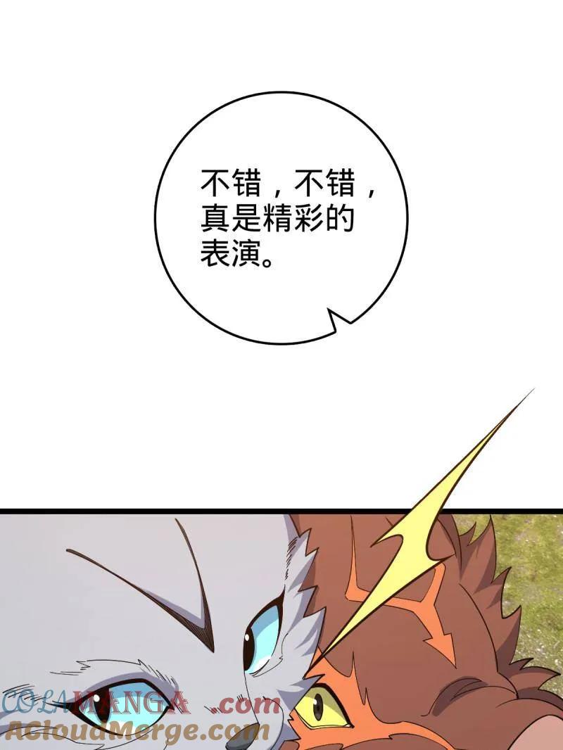 41.jpg