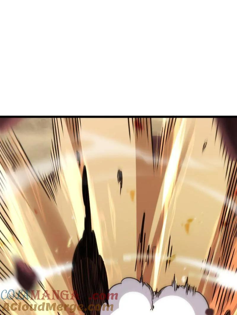 41.jpg