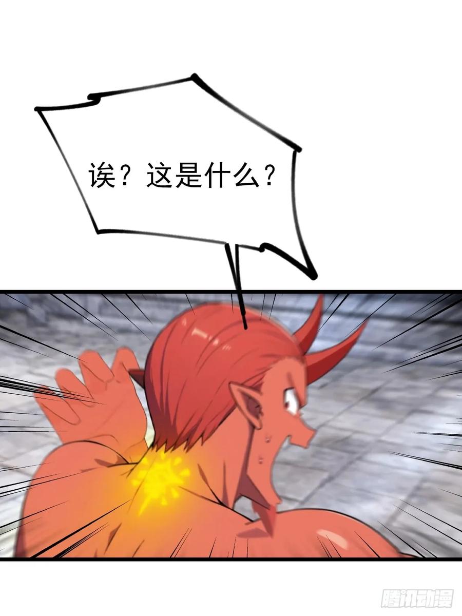 41.jpg