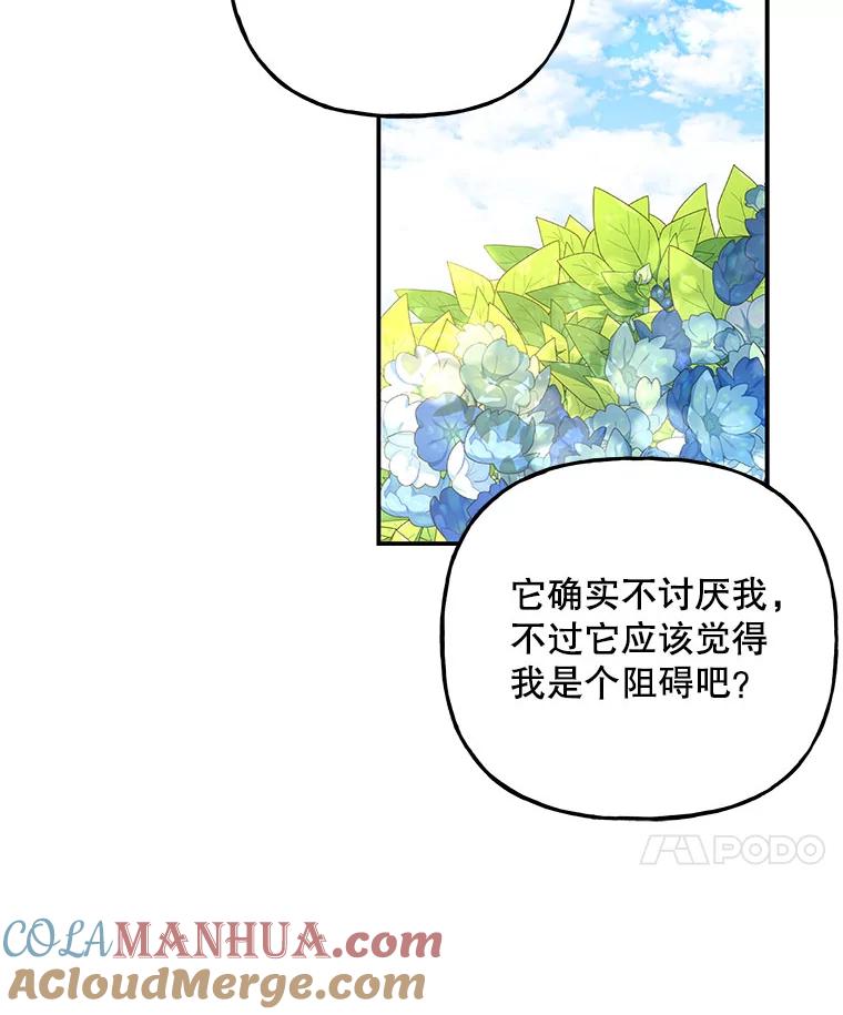 73.jpg