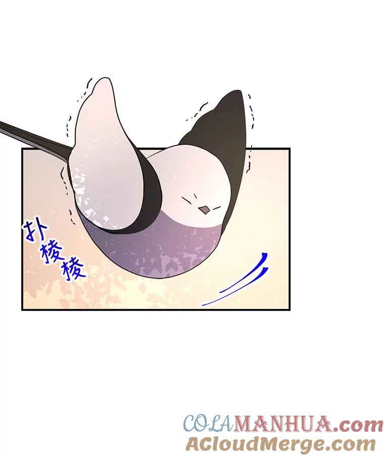 67.jpg