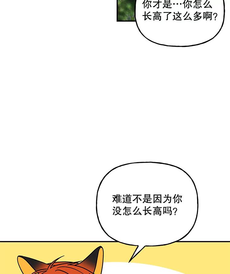 111.jpg