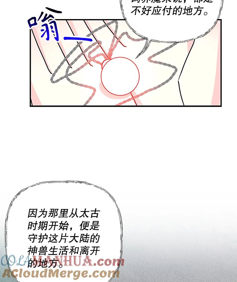 81.jpg