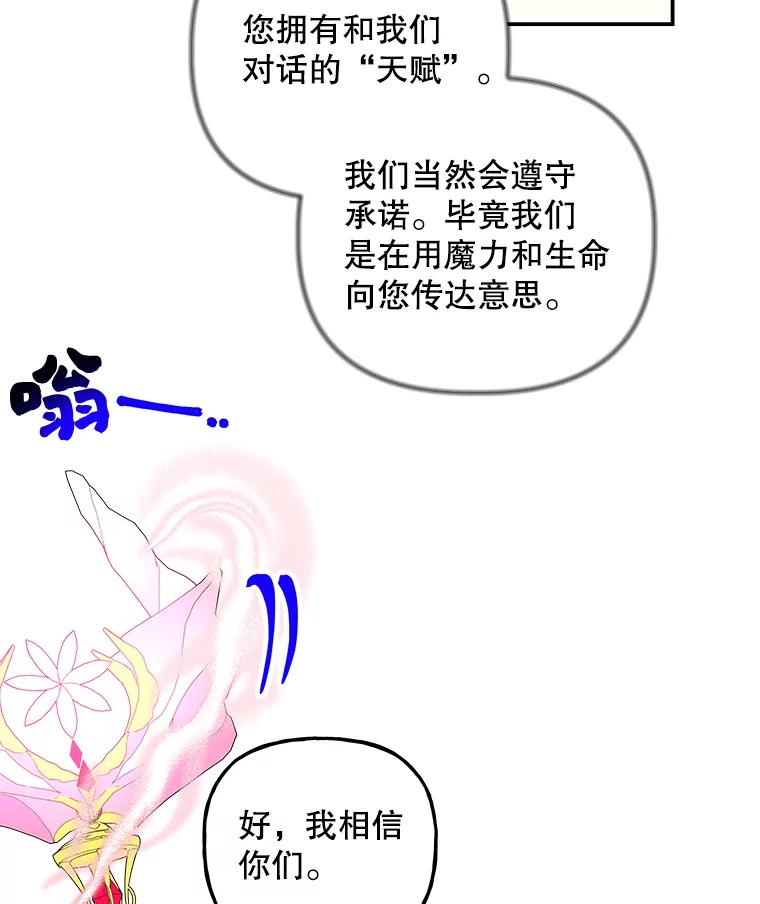 95.jpg