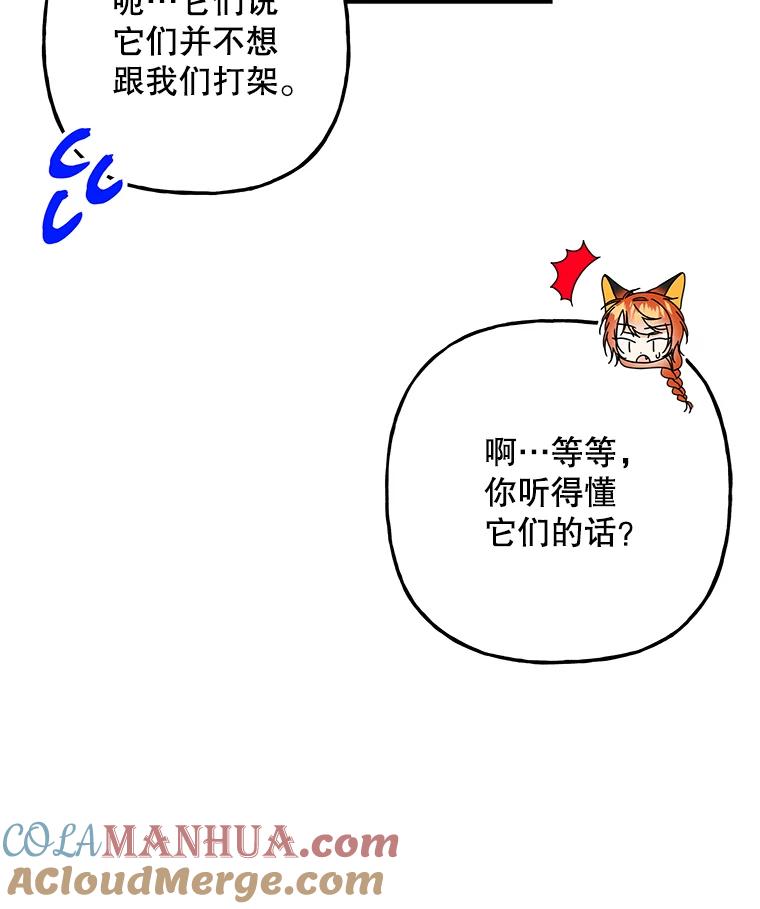 85.jpg