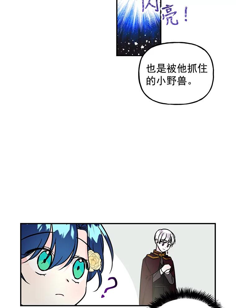 75.jpg