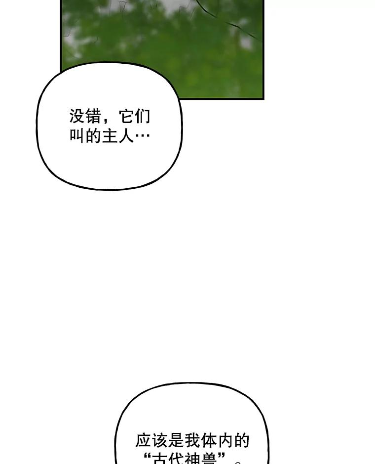 52.jpg