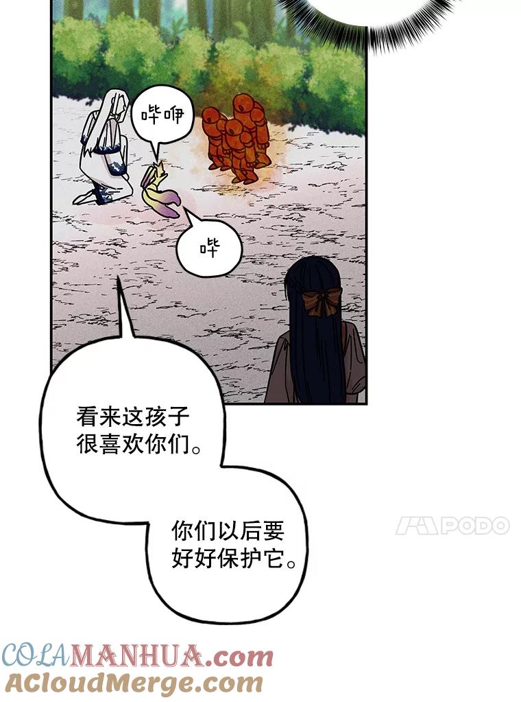 85.jpg