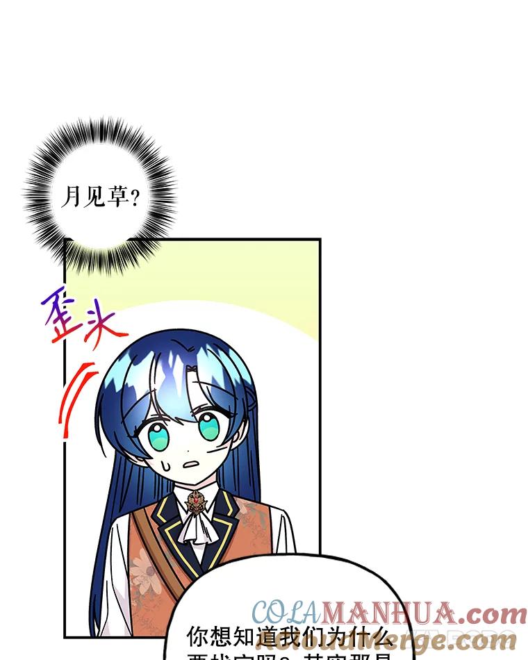 65.jpg