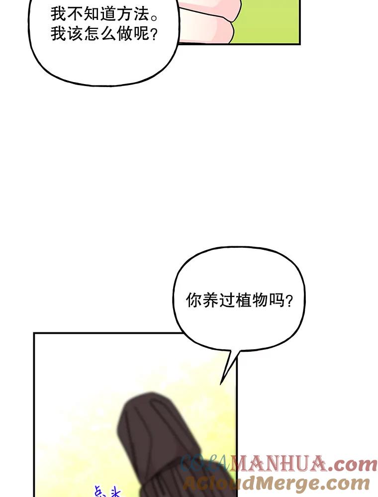 81.jpg