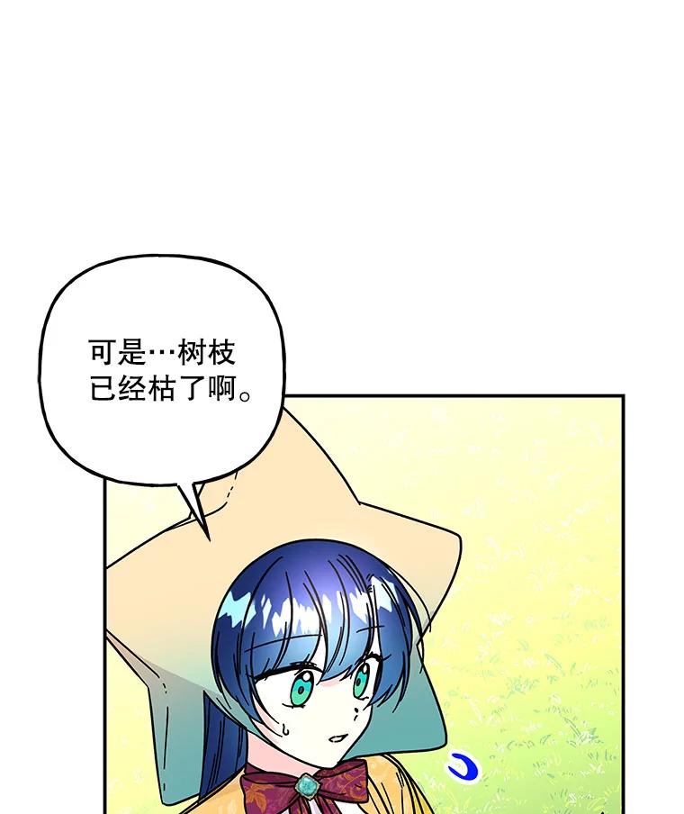 78.jpg