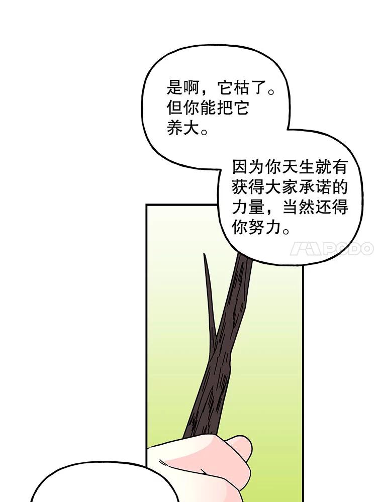 80.jpg