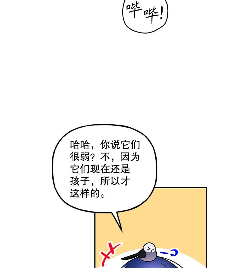 54.jpg
