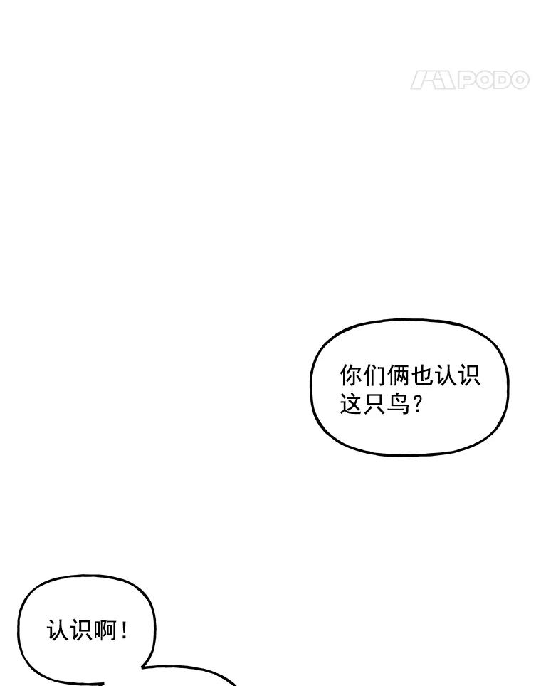 48.jpg
