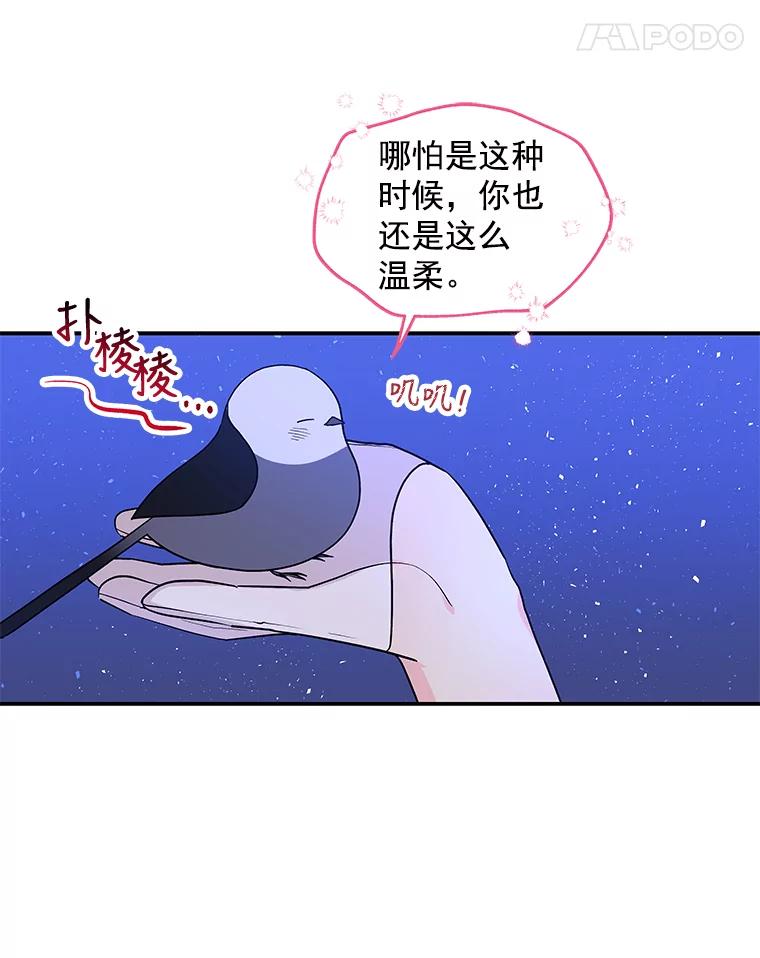78.jpg