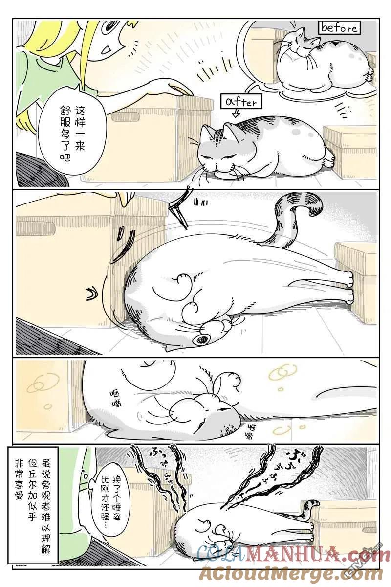 第127话-关于养猫我一直是新手-キュルZ（第1张）