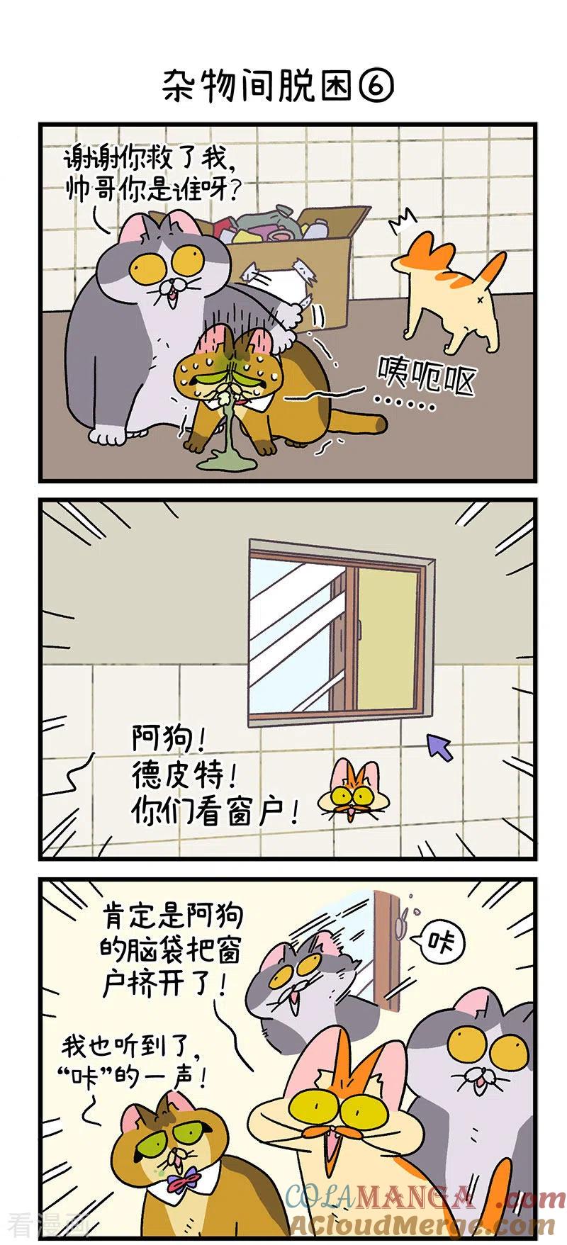 第73话2杂物间脱困-阿满和麦茶-新漫画 日胖大海寺（第4张）