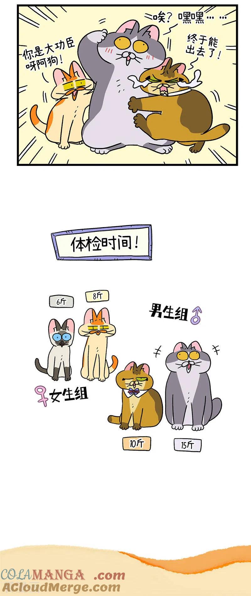 第73话2杂物间脱困-阿满和麦茶-新漫画 日胖大海寺（第5张）