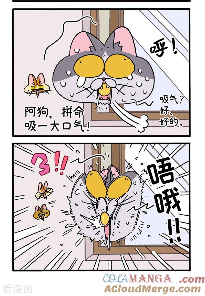 第73话2杂物间脱困-阿满和麦茶-新漫画 日胖大海寺（第2张）