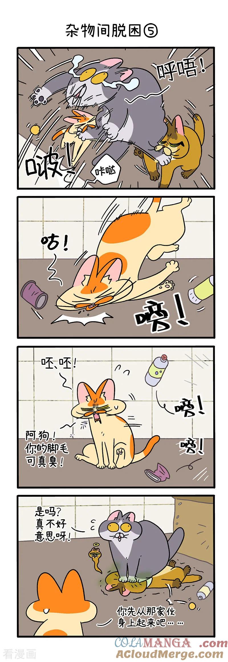 第73话2杂物间脱困-阿满和麦茶-新漫画 日胖大海寺（第3张）