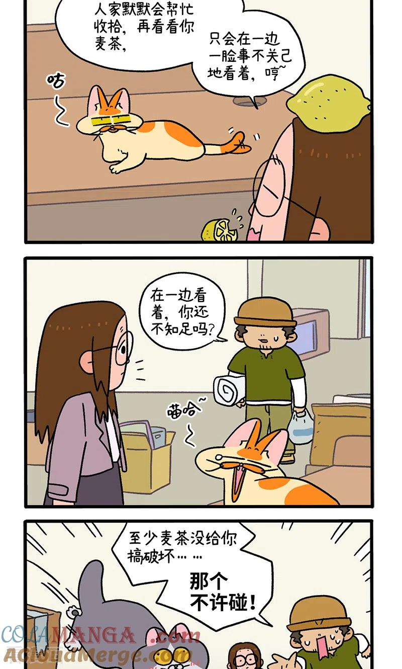 第87话2公司扫除-阿满和麦茶-新漫画 日胖大海寺（第2张）