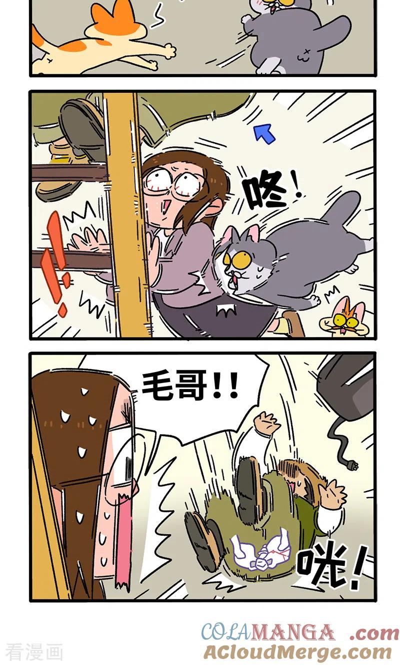 第87话2公司扫除-阿满和麦茶-新漫画 日胖大海寺（第4张）