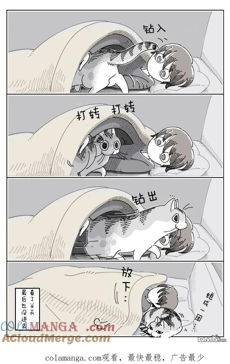 第244话-关于养猫我一直是新手-キュルZ（第2张）